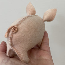 Load image into Gallery viewer, Pig Kit