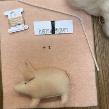 Load image into Gallery viewer, Pig Kit