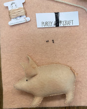 Load image into Gallery viewer, Pig Kit