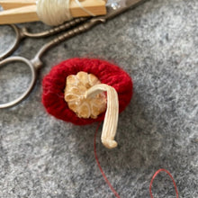 Load image into Gallery viewer, Toadstool wet/dry felting kit