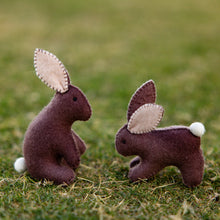 Load image into Gallery viewer, Rabbit kit