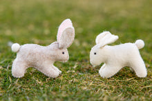 Load image into Gallery viewer, Rabbit kit