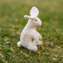 Load image into Gallery viewer, Rabbit kit