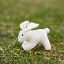 Load image into Gallery viewer, Rabbit kit