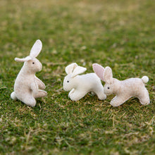 Load image into Gallery viewer, Rabbit kit