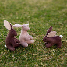 Load image into Gallery viewer, Rabbit kit