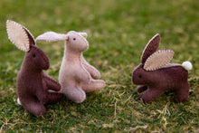 Load image into Gallery viewer, Rabbit kit