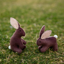 Load image into Gallery viewer, Rabbit kit