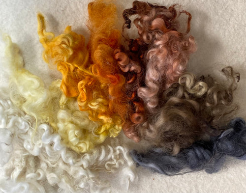 Hand dyed English Leicester for dolls hair