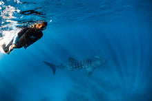Load image into Gallery viewer, Hand made Whale sharks
