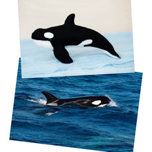 Load image into Gallery viewer, Orca / Killer whale kit