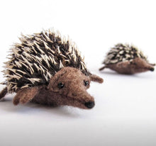 Load image into Gallery viewer, Echidna