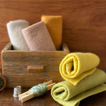 Load image into Gallery viewer, Hand dyed 100% wool felt - Special Autumn 2026 felt packs