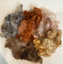 Load image into Gallery viewer, English Leicester for dolls hair