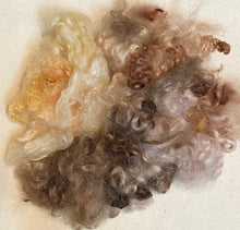 Load image into Gallery viewer, English Leicester for dolls hair