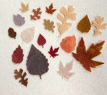 Load image into Gallery viewer, Pre - cut felt leaves and flowers