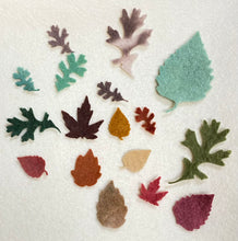 Load image into Gallery viewer, Pre - cut felt leaves and flowers