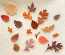 Load image into Gallery viewer, Pre - cut felt leaves and flowers