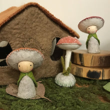 Load image into Gallery viewer, Toadstool people kit