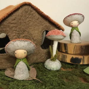 Toadstool people kit