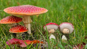 Toadstool people kit – Purely Felt Craft
