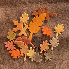 Load image into Gallery viewer, Pre - cut felt leaves and flowers