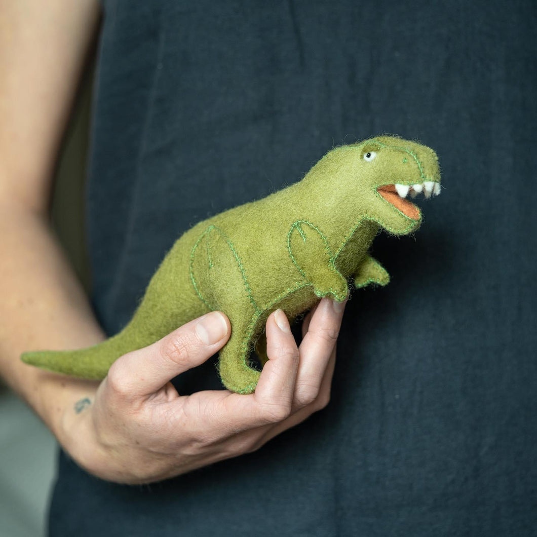 T-Rex dinosaur kit