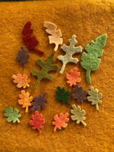 Load image into Gallery viewer, Pre - cut felt leaves and flowers