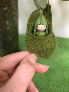 Australian gumnut gnomes / fairies