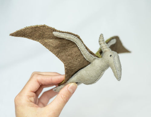 Pterodactyl dinosaur kit