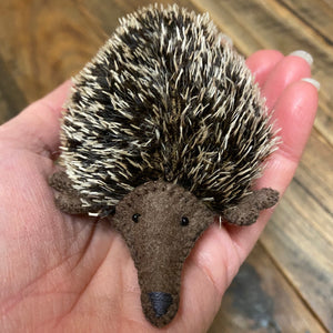 Echidna kit