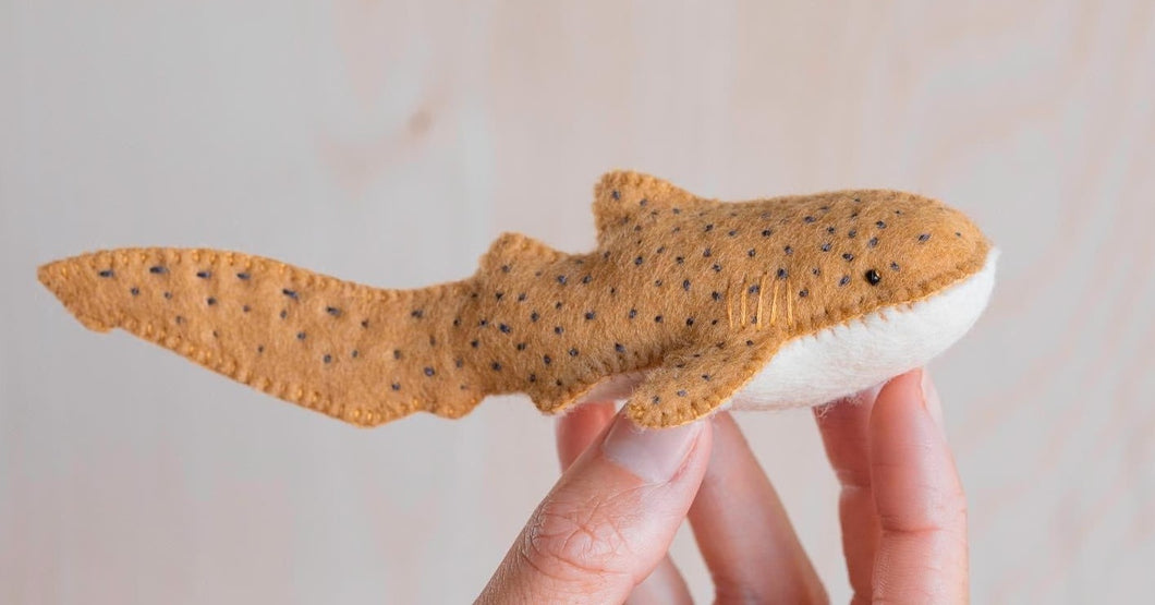 Leopard shark kit