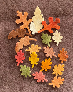 Pre - cut felt leaves and flowers