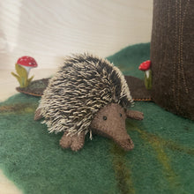 Load image into Gallery viewer, Echidna