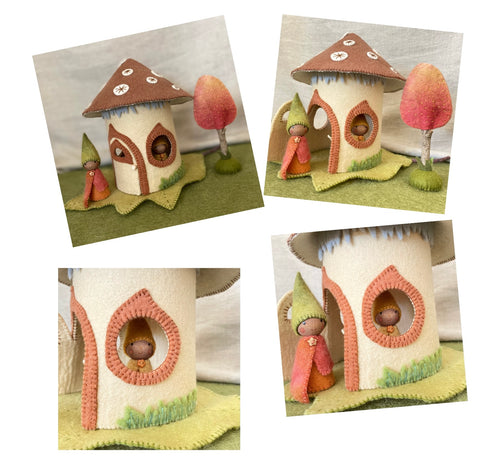 Toadstool house set