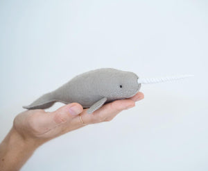 Dolphin and Narwhal kit