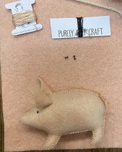 Load image into Gallery viewer, Pig Kit