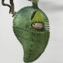 Load image into Gallery viewer, Australian gum-nut babies with leaf pouch kit